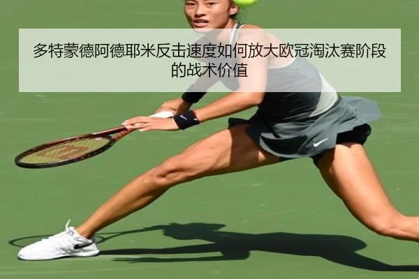 duo-te-meng-de-a-de-ye-mi-fan-ji-su-du-ru-he-fang-da-ou-guan-tao-tai-sai-jie-duan-de-zhan-shu-jia-zhi-2-381.jpg
